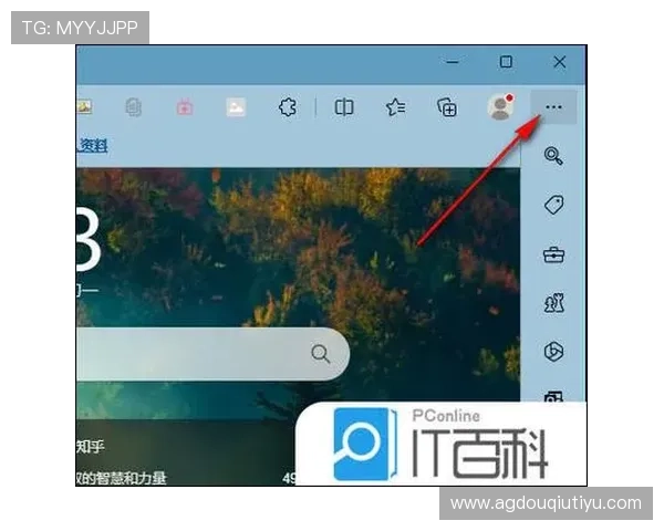 斗球电脑网页版怎么下载详细教程及操作步骤介绍