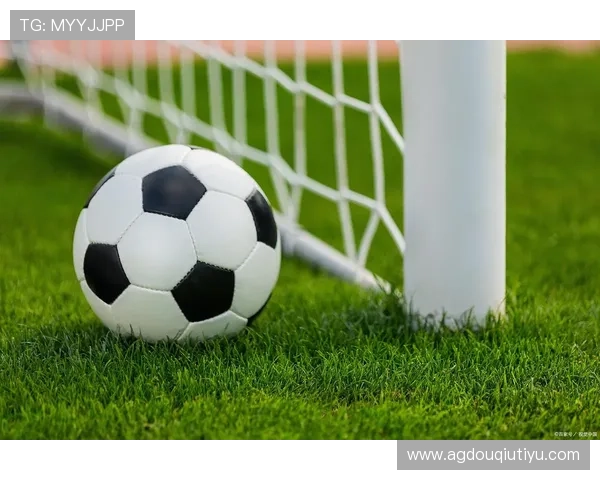 免费下载斗球极速版最新版，享受丰富的赛事和多样的足球玩法内容