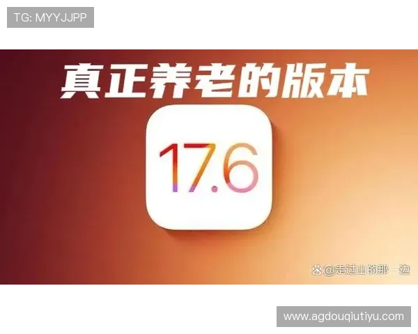 如何在苹果设备上顺利下载斗球ios游戏完整流程与常见问题解决方案