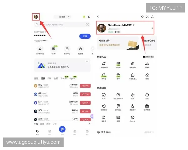 如何快速找到斗球ios官网入口，详细步骤与常见问题解决方案全解析